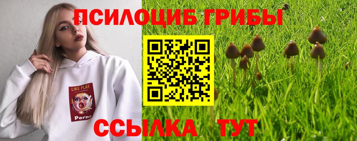 Галлюциногенные грибы GOLDEN TEACHER Ухта