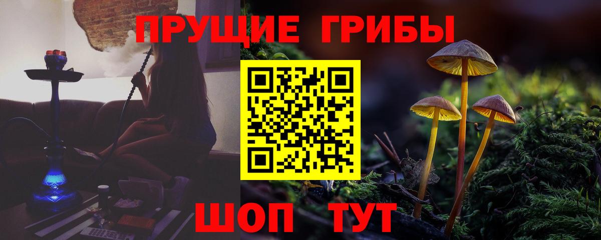 закладка  Вход с VPN  Ухта  Галлюциногенные грибы Psilocybe 